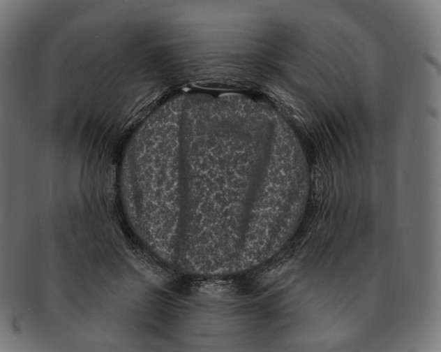 X0000091730550200709211022