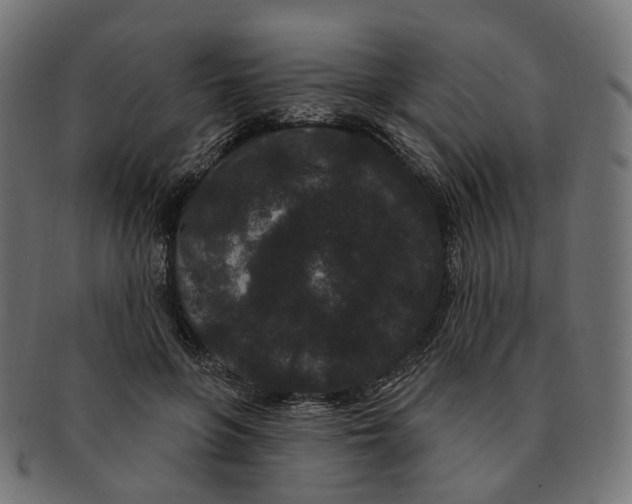 X0000091730551200709211022