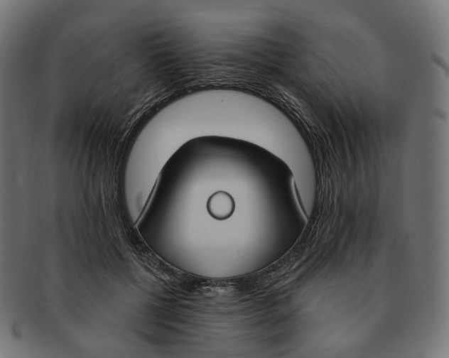 X0000091730552200709211022