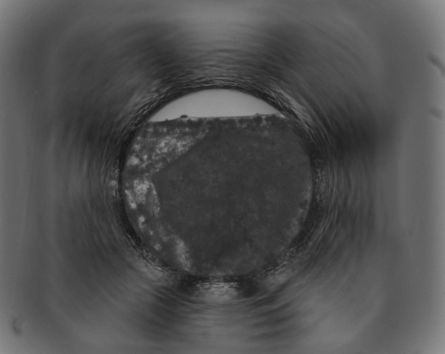 X0000091730553200709211022