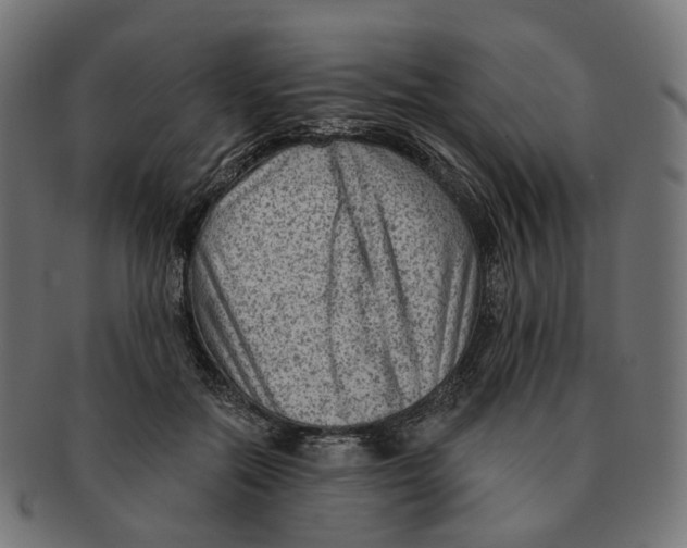 X0000091730554200709211022