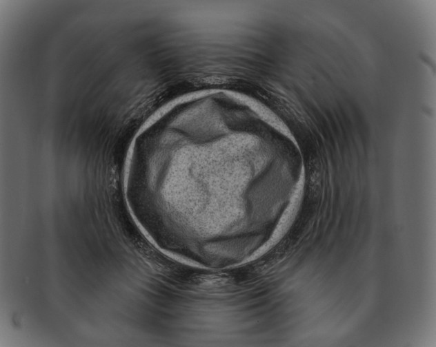 X0000091730555200709211022