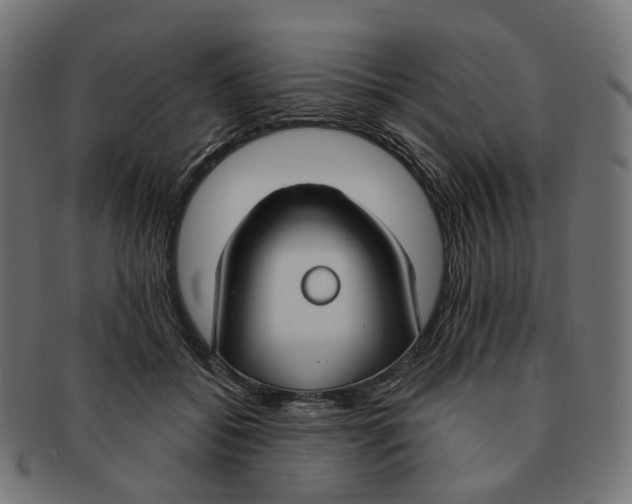 X0000091730556200709211022