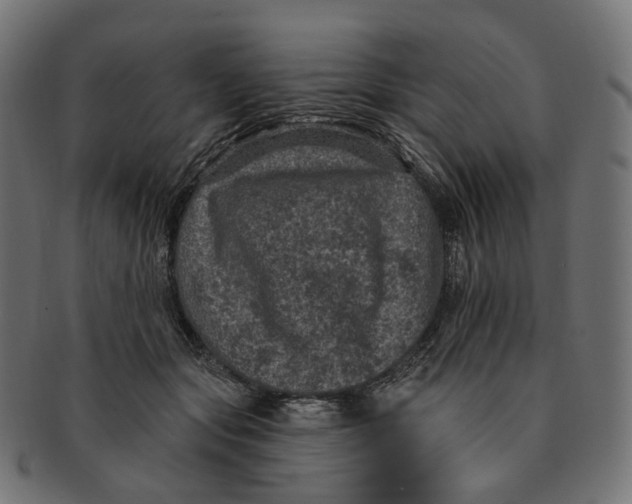 X0000091730557200709211022