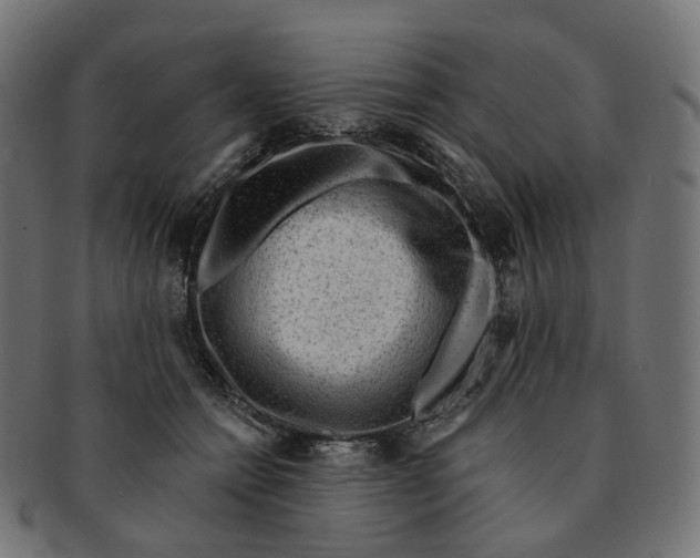 X0000091730558200709211022