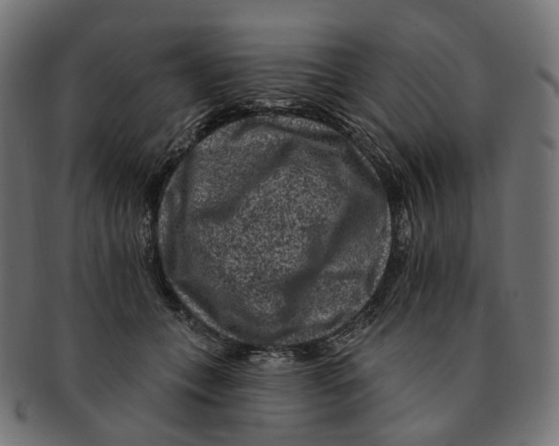 X0000091730559200709211022