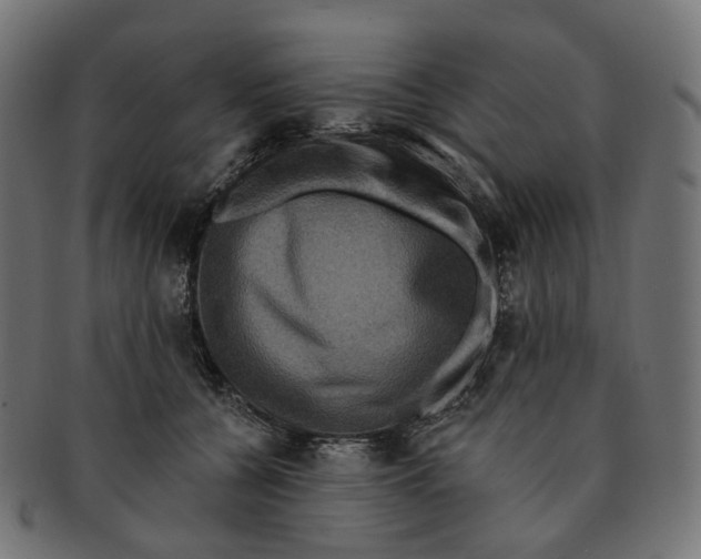 X0000091730560200709211022