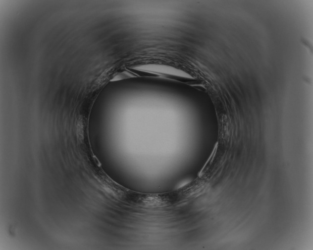 X0000091730562200709211022