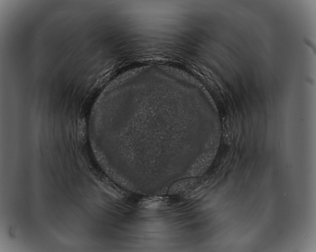 X0000091730563200709211022