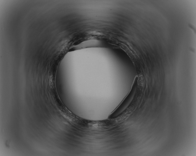 X0000091730564200709211022