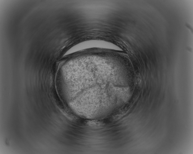 X0000091730568200709211022