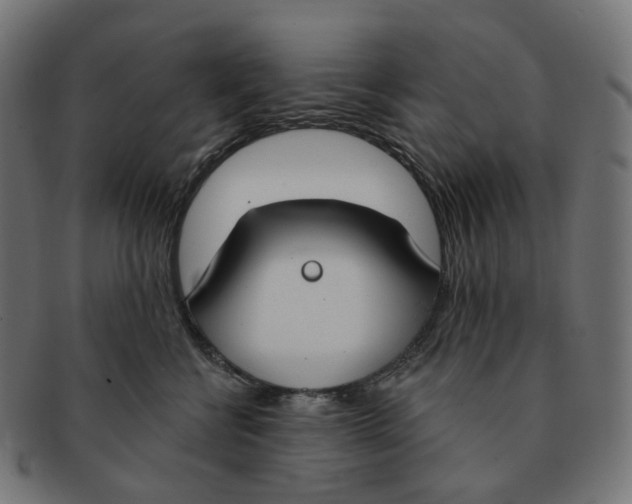 X0000091730570200709211022