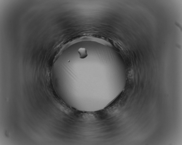 X0000091730572200709211022