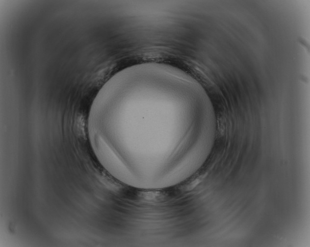 X0000091730575200709211022