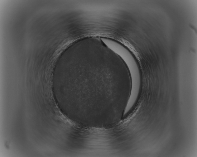 X0000091730577200709211021