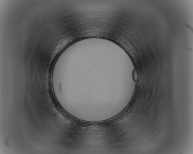 X0000091730578200709211021