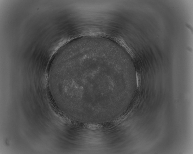 X0000091730579200709211021