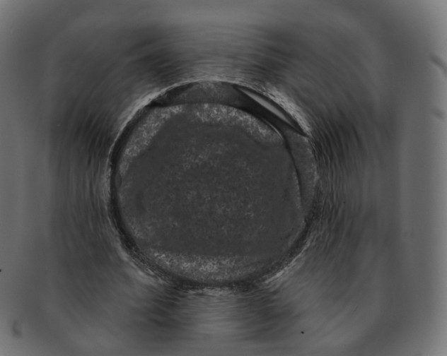 X0000091730580200709211021