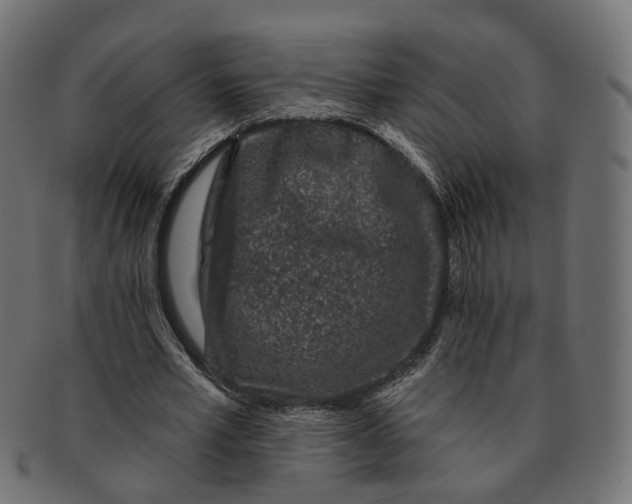 X0000091730581200709211021