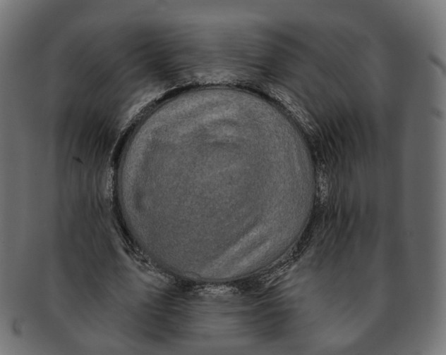 X0000091730583200709211021