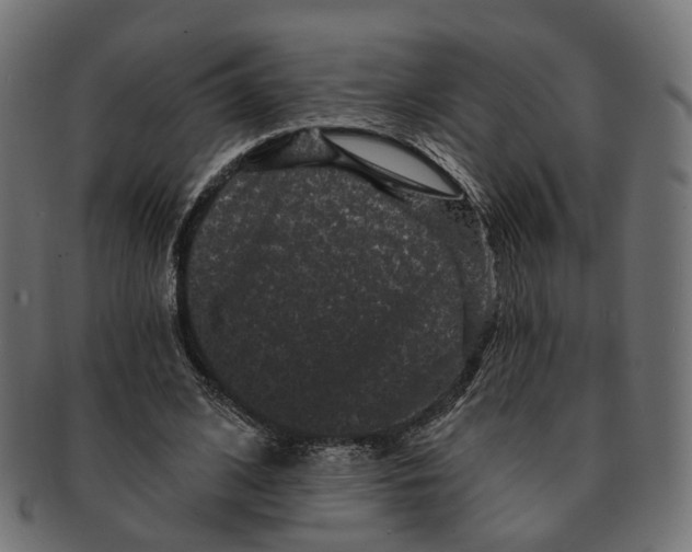 X0000091730584200709211021