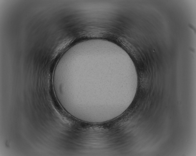 X0000091730586200709211021