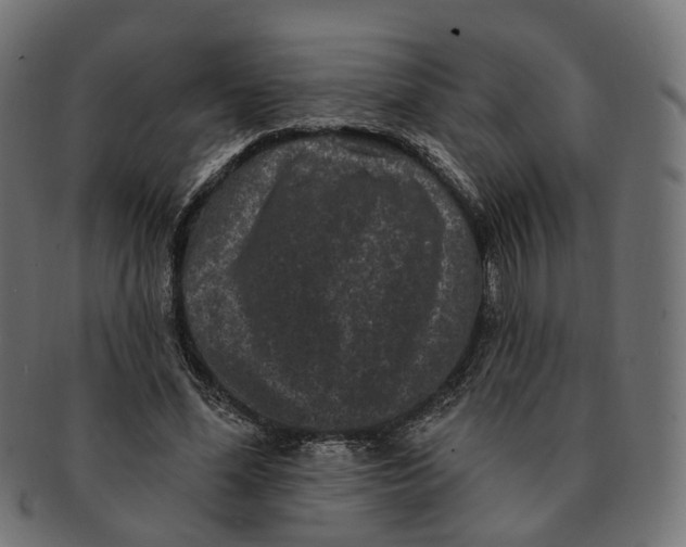 X0000091730588200709211021