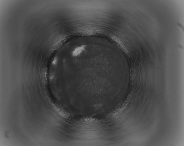 X0000091730590200709211021