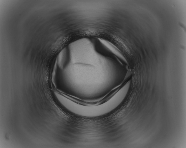 X0000091730593200709211021