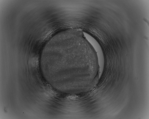 X0000091730595200709211021