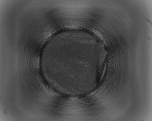 X0000091730596200709211021