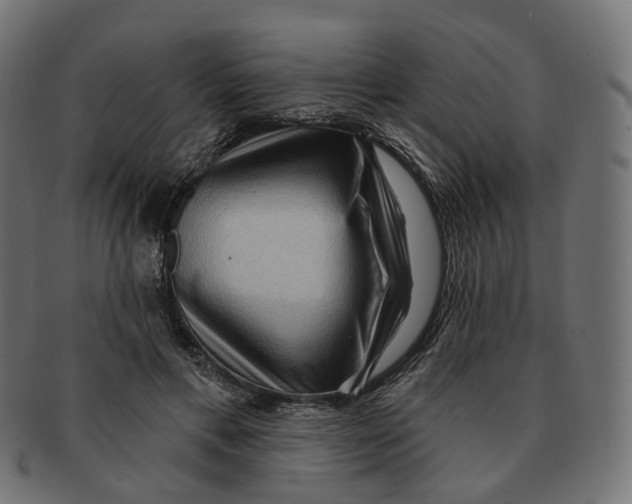 X0000091730597200709211021