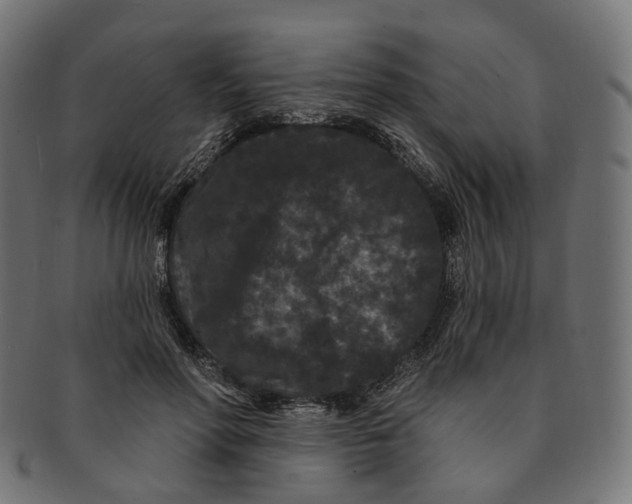 X0000091730598200709211021