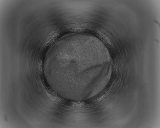 X0000091730599200709211021