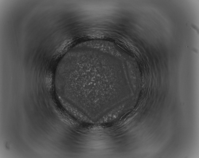 X0000091730600200709211021