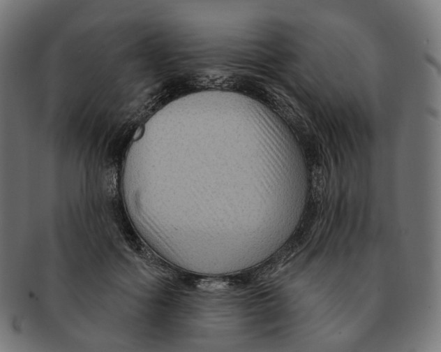 X0000091730602200709211021