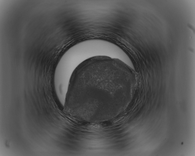 X0000091730604200709211021