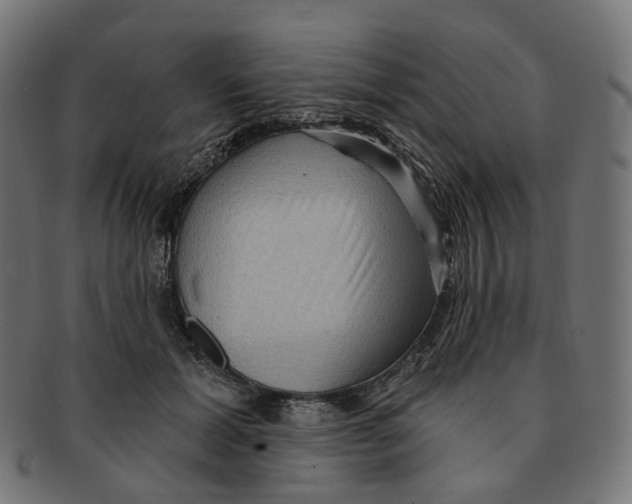 X0000091730605200709211021