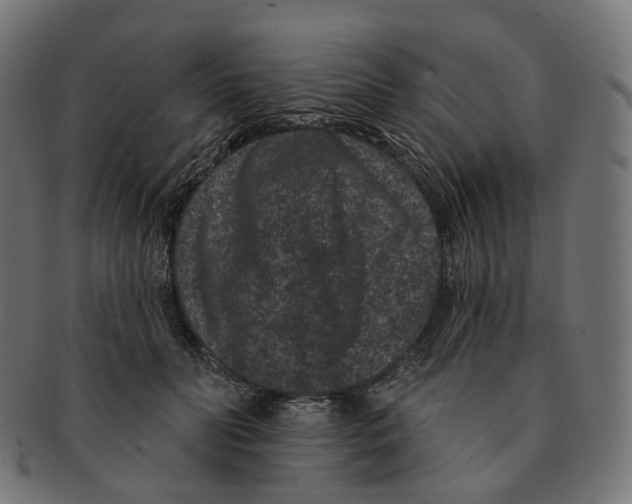 X0000091730606200709211021