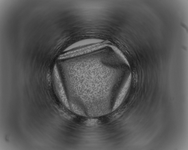 X0000091730609200709211021