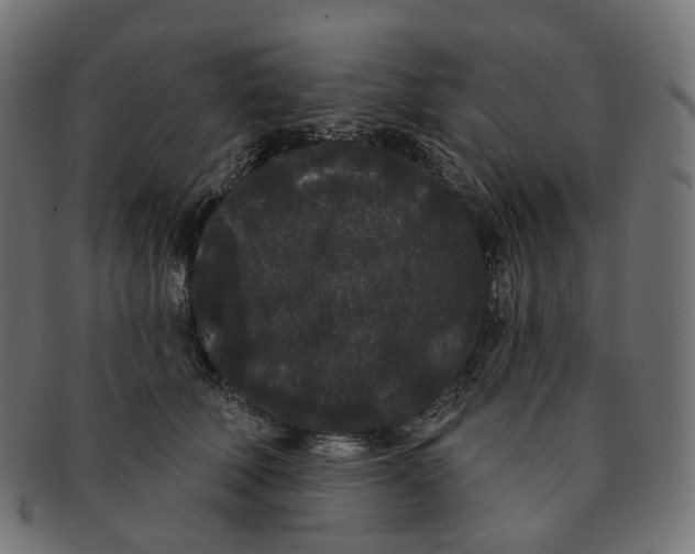 X0000091730610200709211021