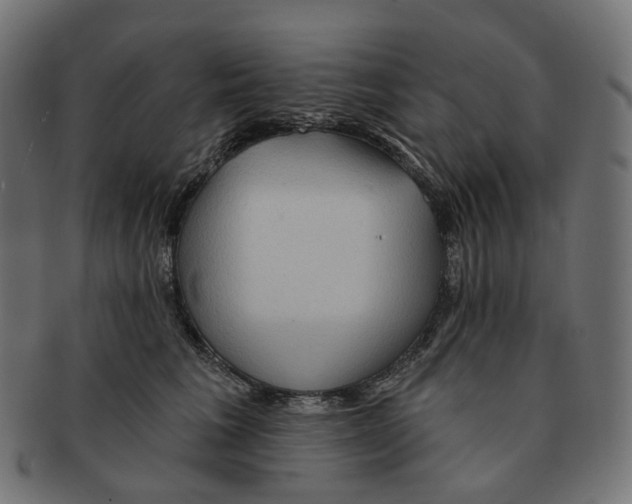 X0000091730613200709211021