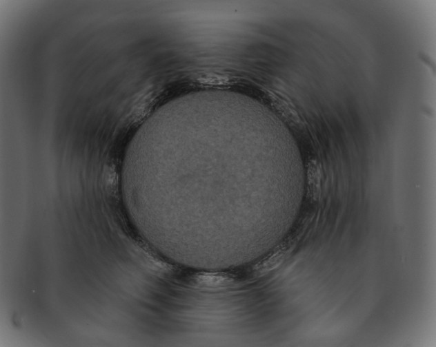 X0000091730614200709211021