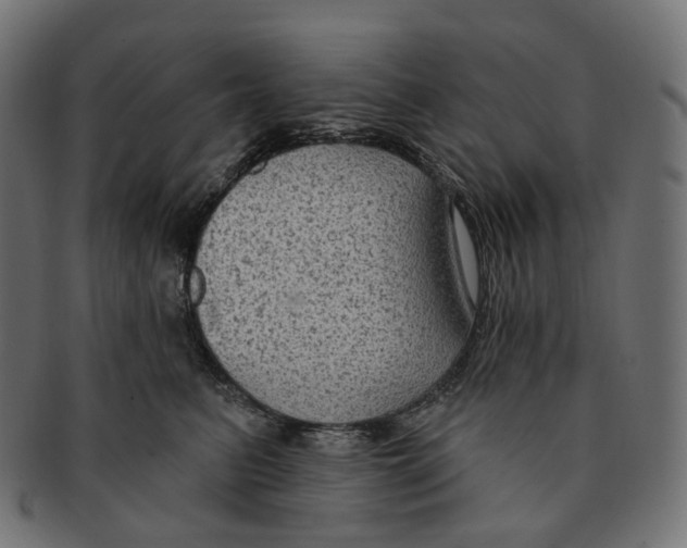 X0000091730615200709211021