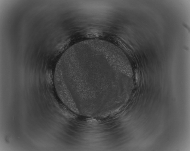 X0000091730616200709211021