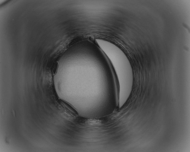 X0000091730617200709211021