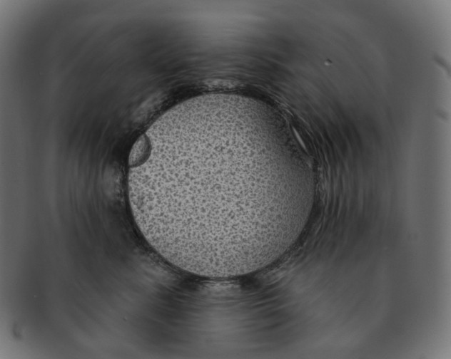 X0000091730619200709211021