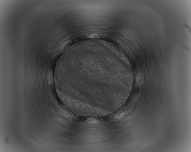 X0000091730620200709211021