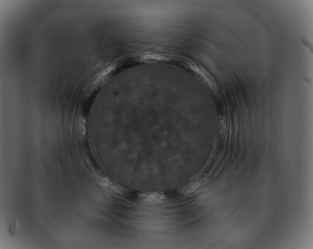 X0000091730621200709211021