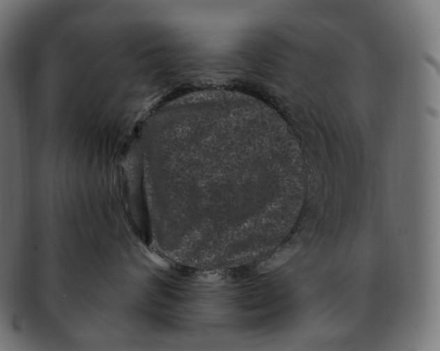 X0000091730624200709211021